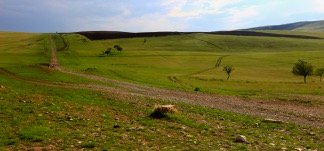 graslandschaft.jpg