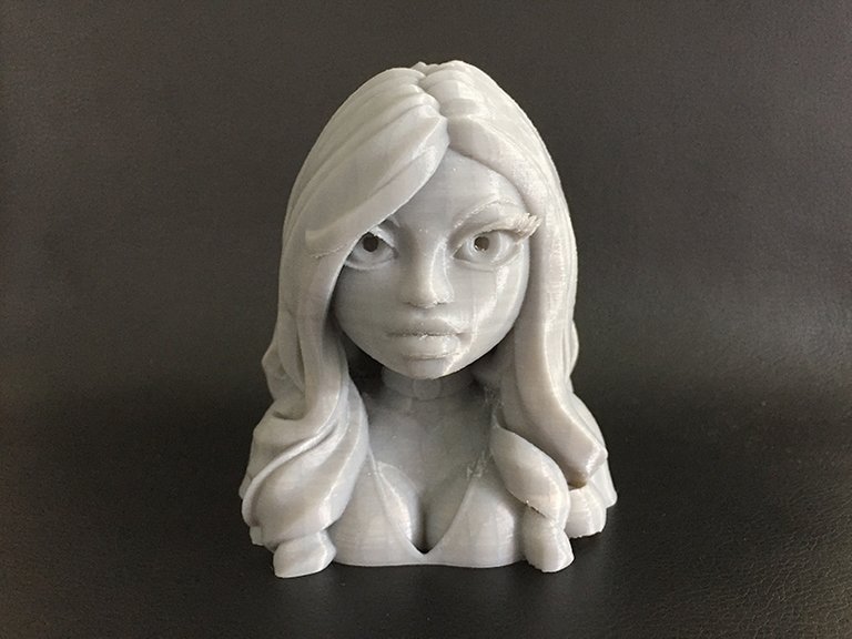 aleysha_3d_printed_bust_front.jpg