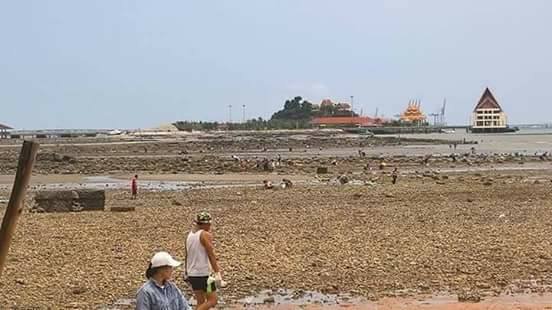thailand2.jpg