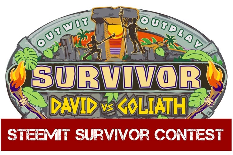 Survivor DvG Logo Main Contest.jpg