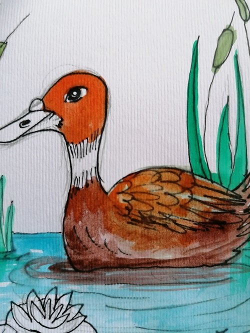 PAINTINGDUCK(7).jpg