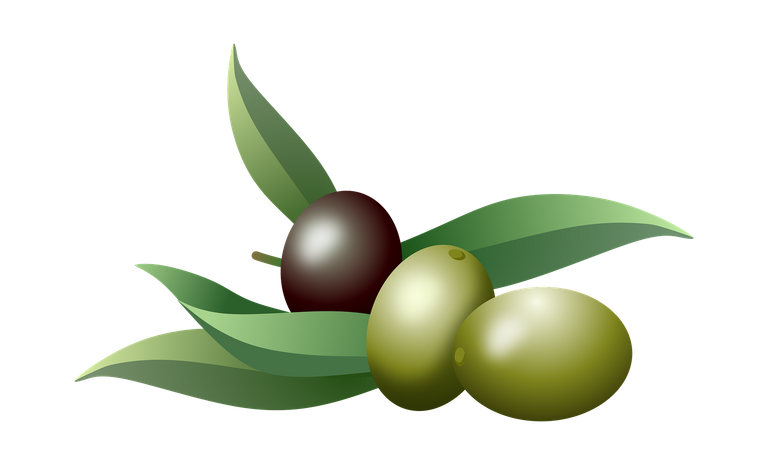 olives-3841403_1920.png