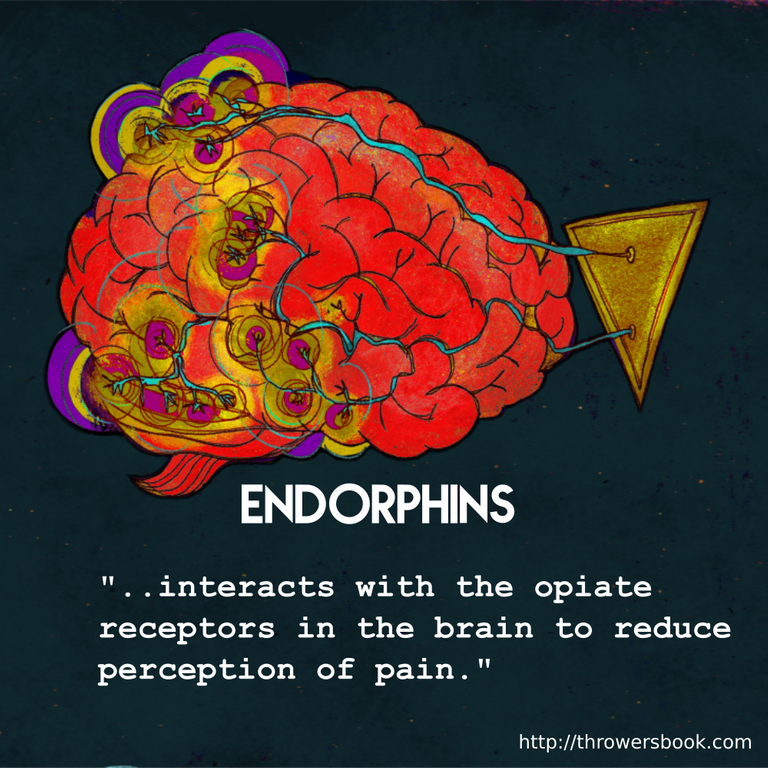 endorphins-description-throwersbook.png