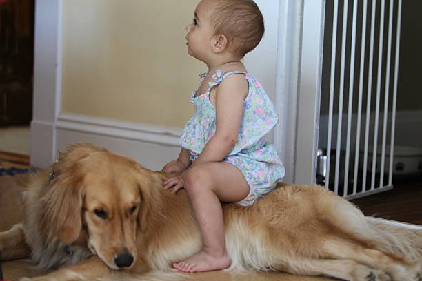 one-year-old-girl-and-dog-picture-id585081570.jpg