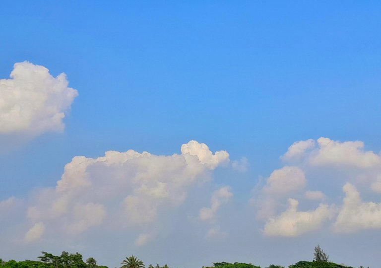 20230403_152104.jpg