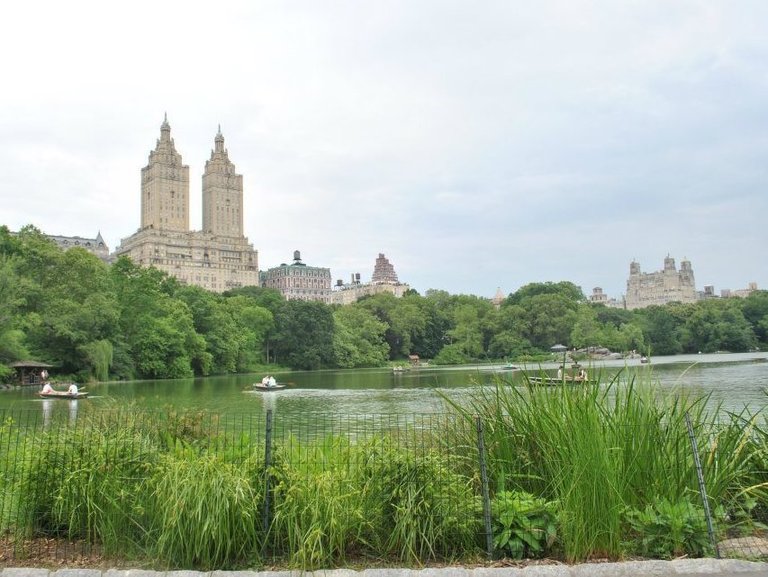 central park.jpg