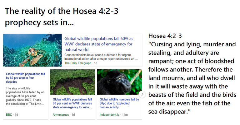 Global Wildlife Hosea 4.png