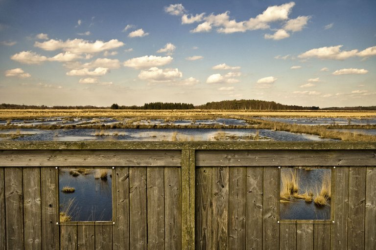 marshland-view-ii_4530839212_o.jpg