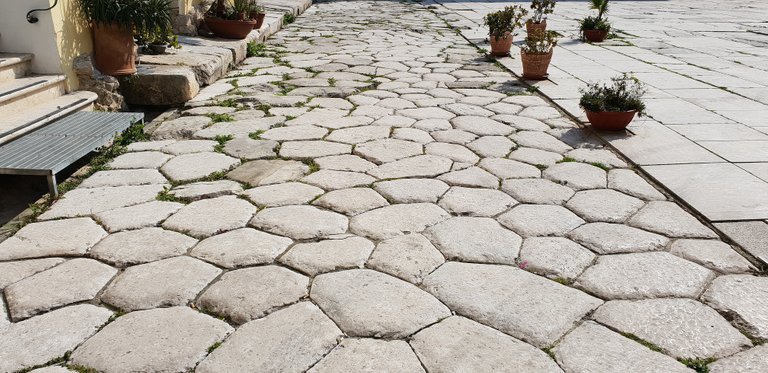 20190221_120015.jpg