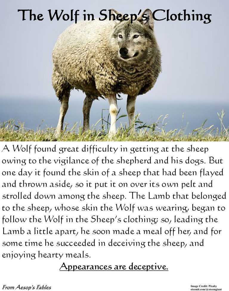 Wolf in Sheep Clothing.jpg