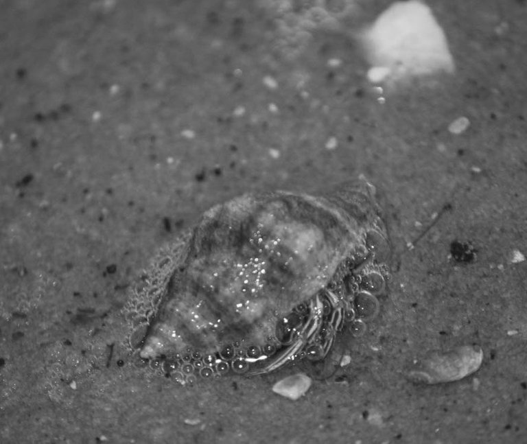 bwchallenge-06240801-2.jpg