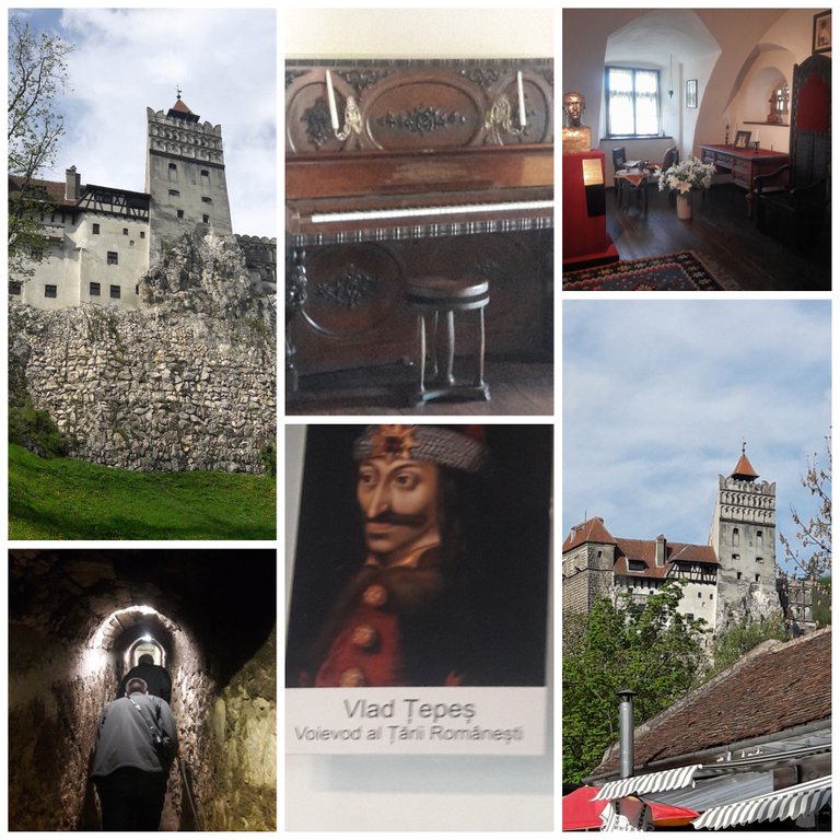 CollageMaker_20190515_131145214.jpg