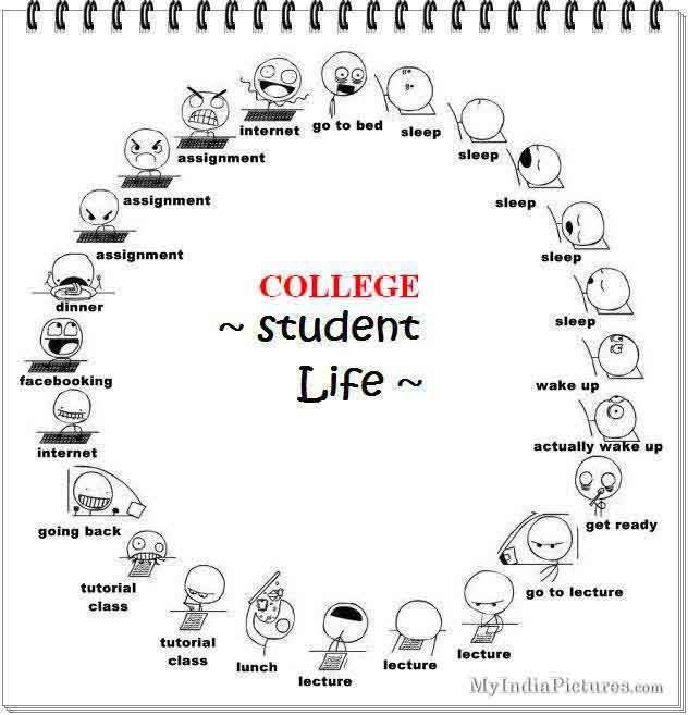 college-student-life-cycle-time-table-funny.jpg