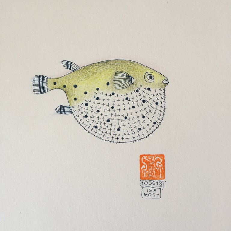 puffer_fish.JPG