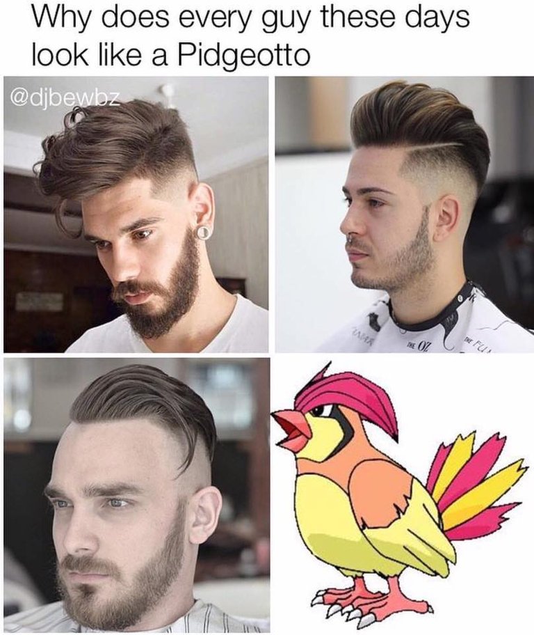 Pigeot.jpg