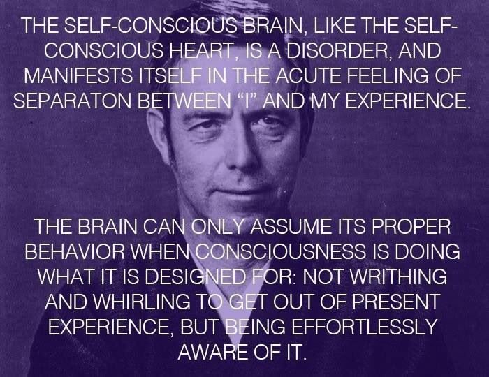 alan watts brain.jpg