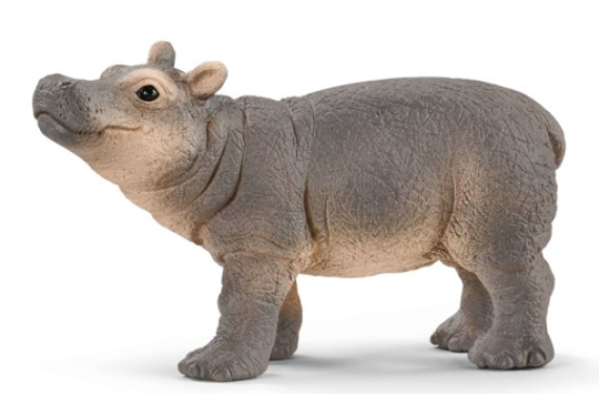 14831 Hippopotamus Calf.png