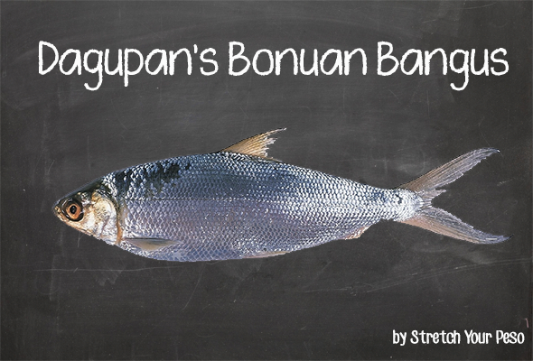 The Best Bangus In The Philippines.png