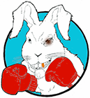 bunny-with-gloves-small.png