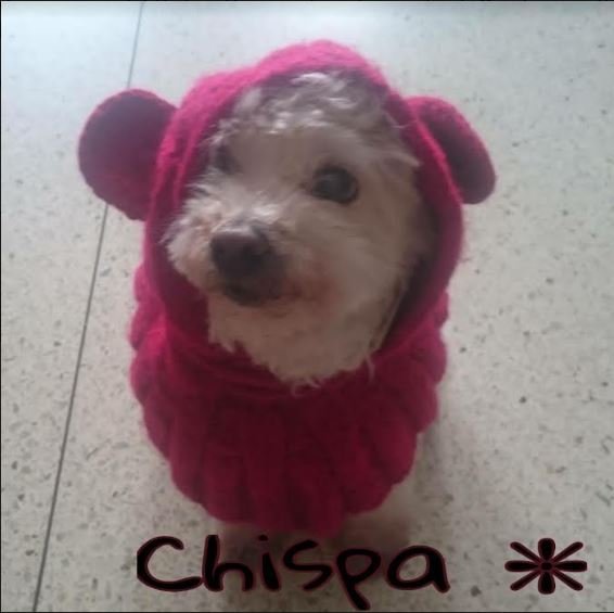 chispa1.JPG