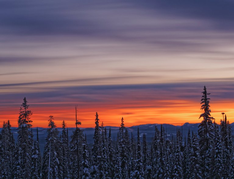 PC191248-long-exposure-sunset-forest-big-white-1680.jpg