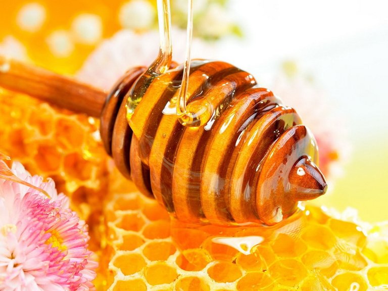 honey-bee-wallpaper-6.jpg