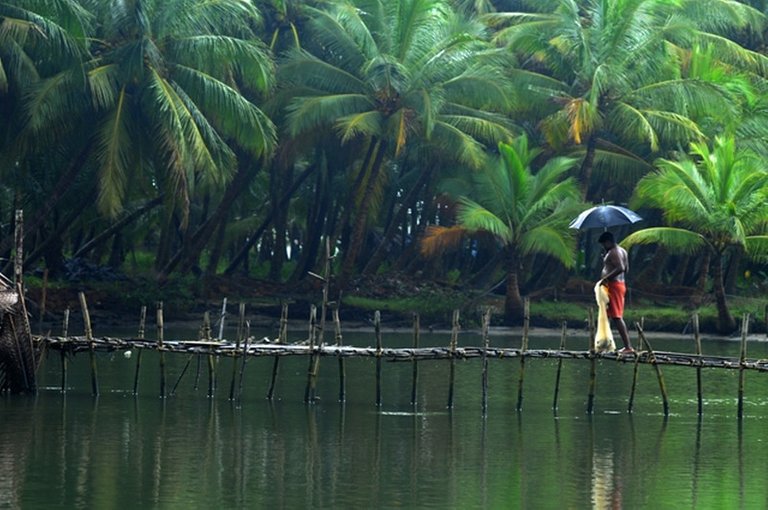 backwater-kerala-photos.jpg