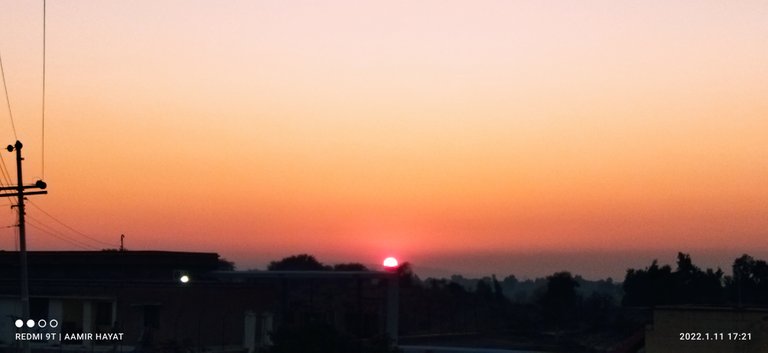 IMG_20220111_172114.jpg