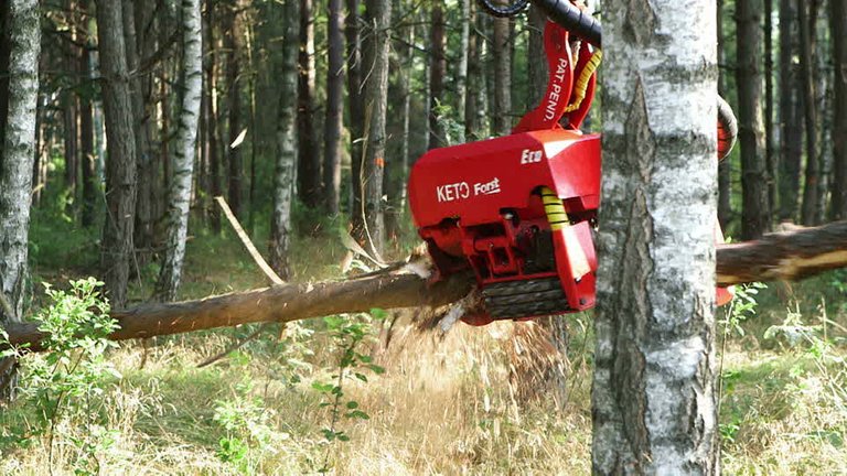 675026779-tree-harvester-machine-log-wood-forestry-lifting.jpg