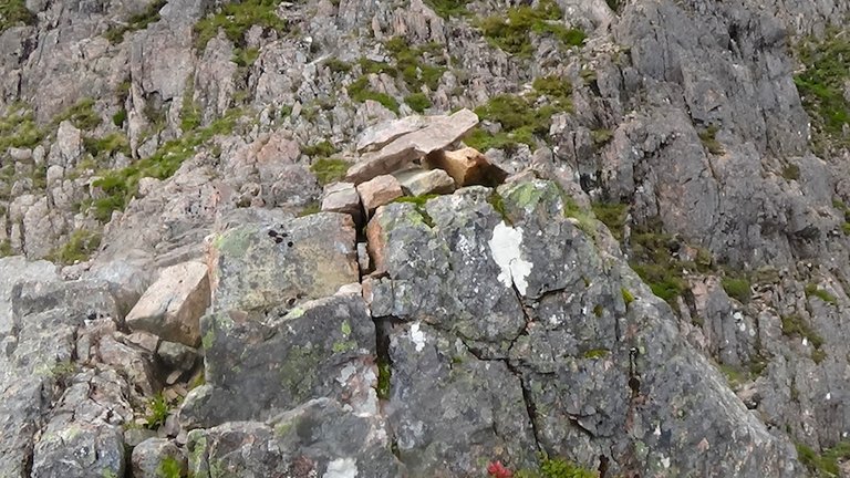 95d Cairn marking the end of Curved Ridge.jpg