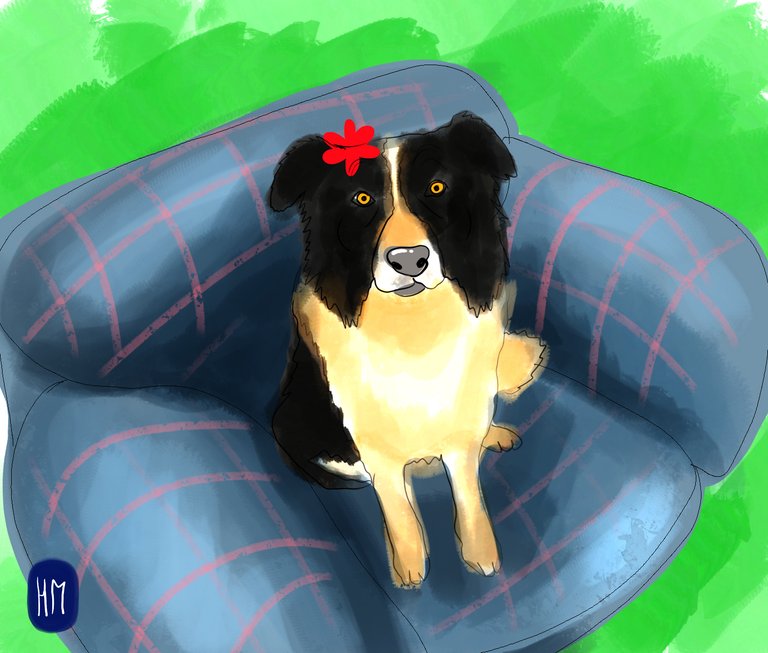 dogonsofa(432).jpg