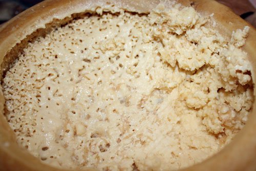 casu-marzu-3.jpg