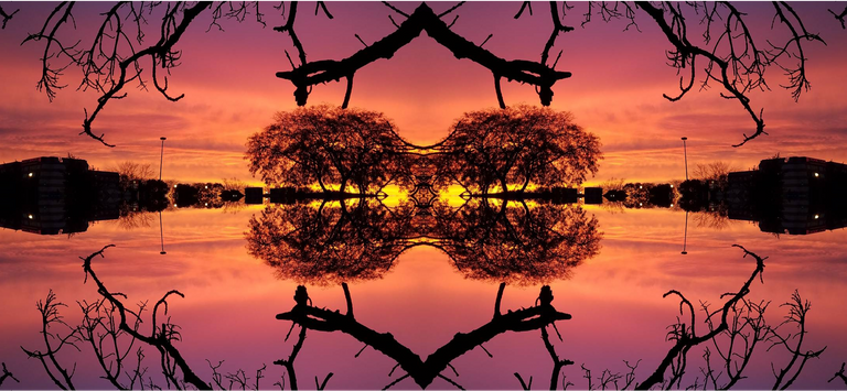 50190_mirrorsunset.png