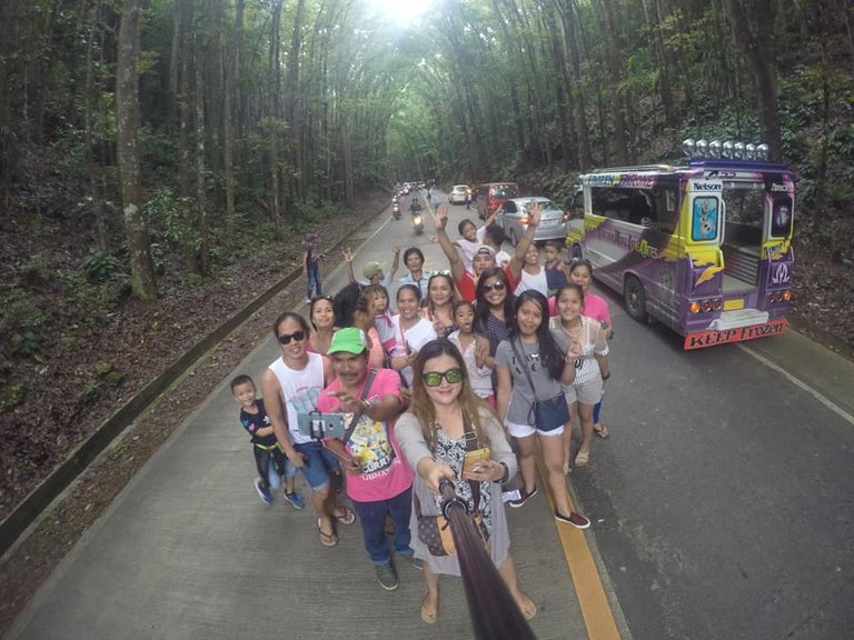 manmade forest in bohol.jpg