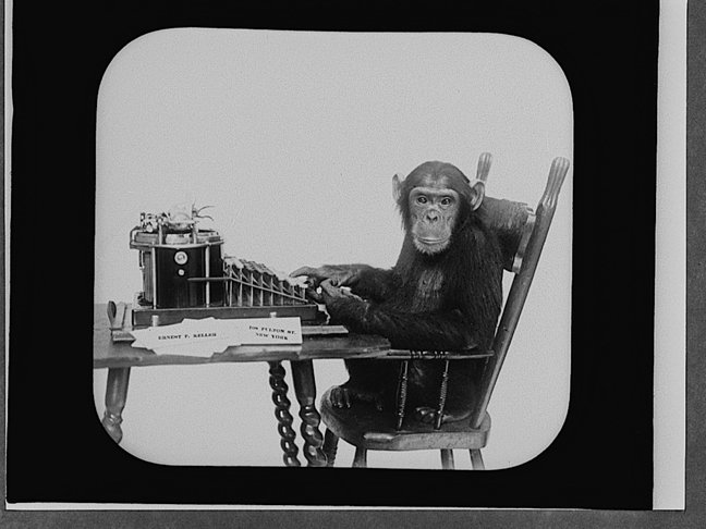 monkey-typewriter.jpg
