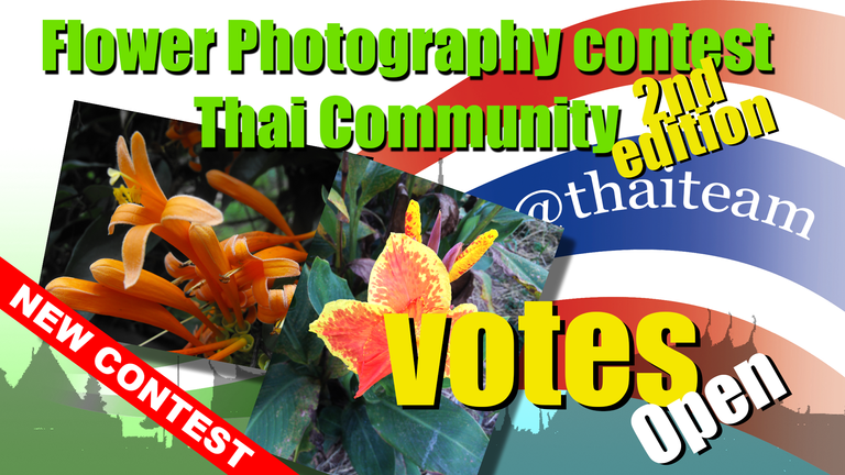 New Contest flower votes.png