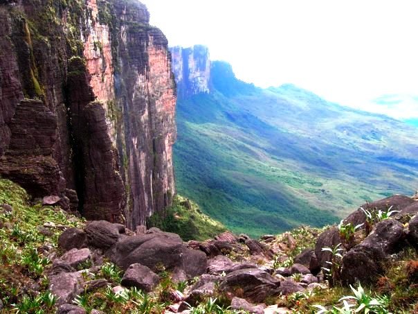 Gran sabana.jpg