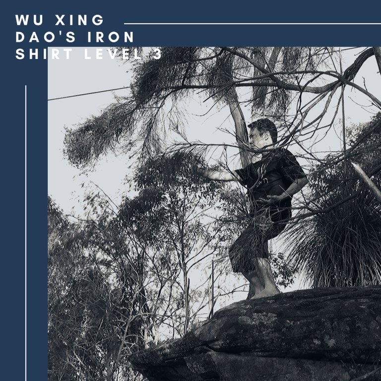 Wu Xing Dao's Iron Shirt Level 3.jpg