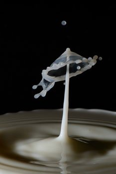 drop_crown_milk_macro_impact_experiment_abstraction_collision-1105678-.jpg