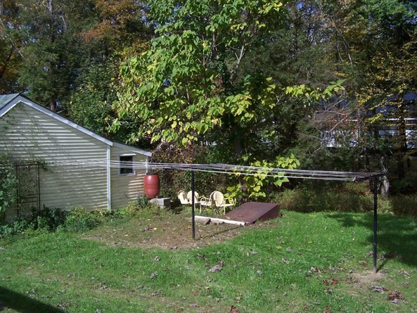 Clothesline back up crop October 2019.jpg