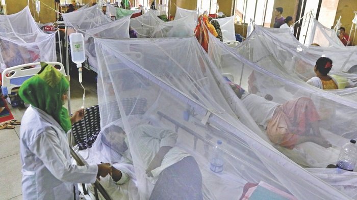 daily_sun_dengue-outbreaks-BD-jp_picture.jpg