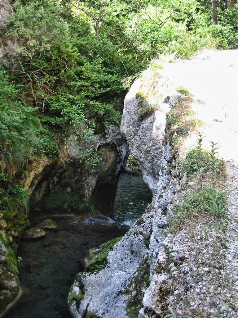 Imagen 035.jpg