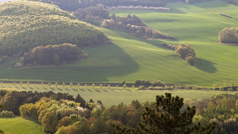 8726479636-beautiful-spring-in-the-middle-of-germany (FILEminimizer).jpg