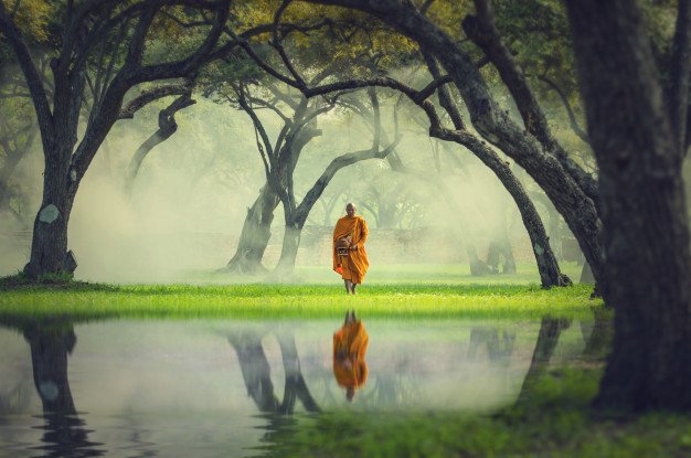 monk-hike-deep-forest-reflection-with-lake-buddha-religion-concept_41418-1887.jpg