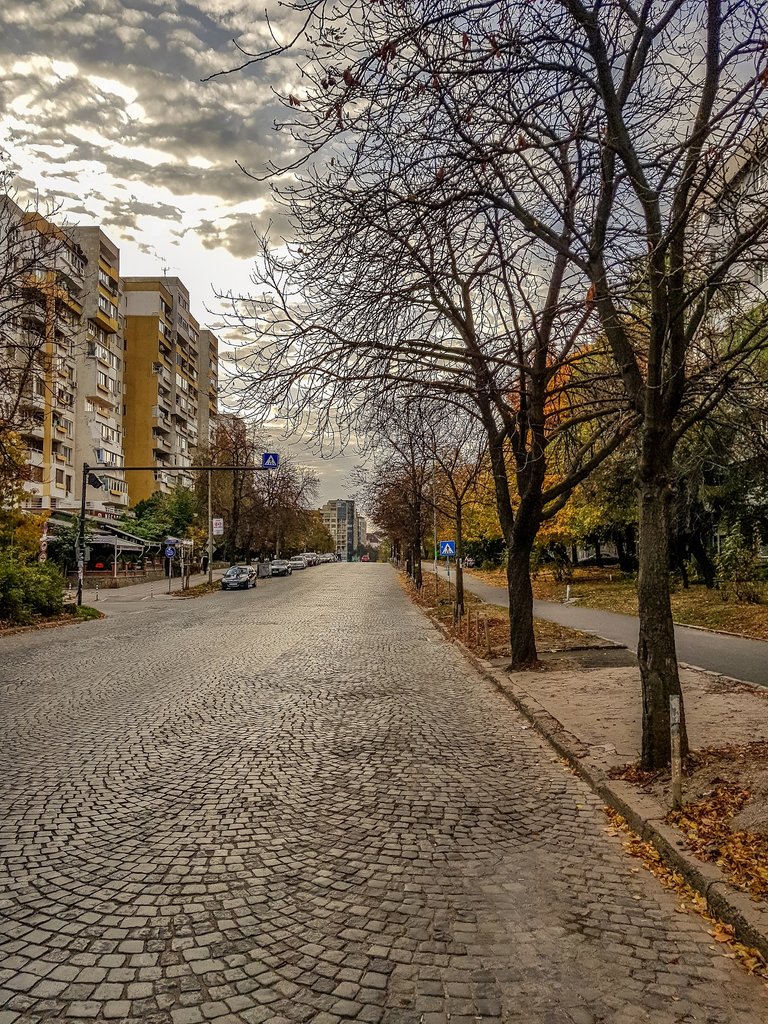 street by petko.jpg