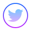 icons8-twitter-64.png