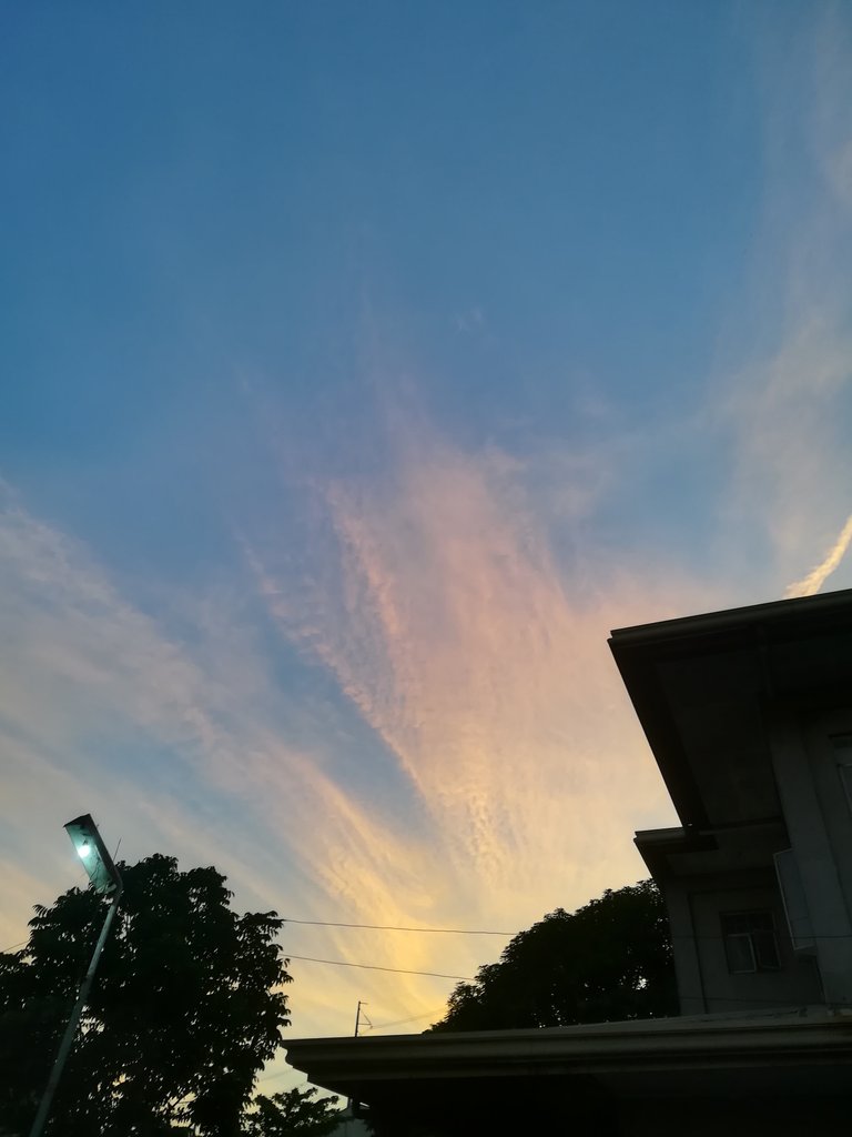 IMG_20181005_174910.jpg
