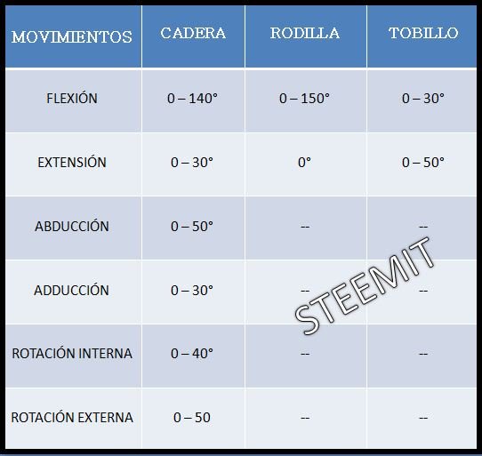 RANGO DE ARTICULACIONES.JPG