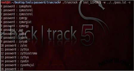 Truecrack-brute-force-Truecrypt.jpg