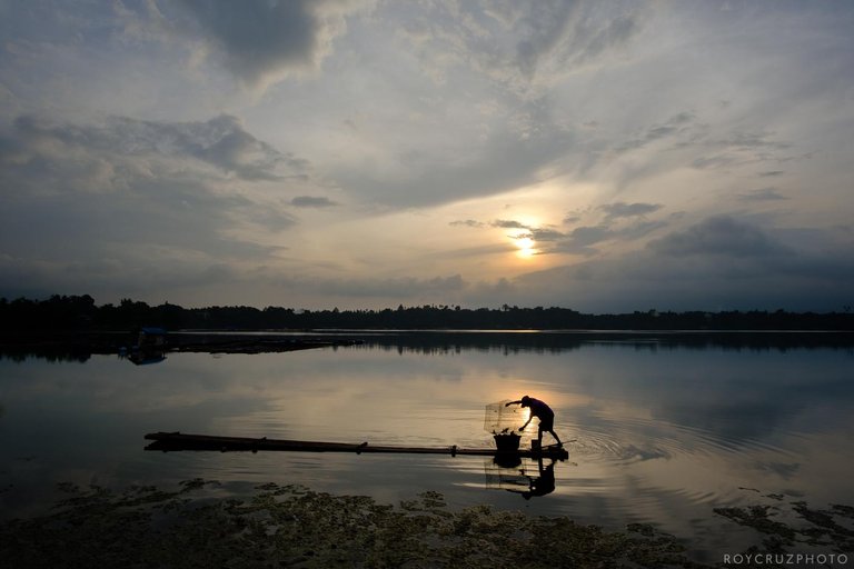 PH Sampaloc Lake Fisherman-1.jpg